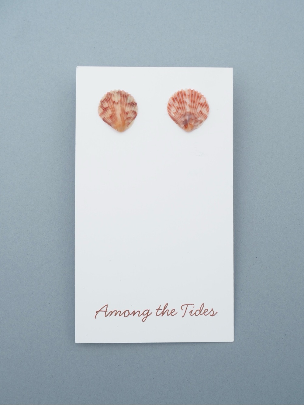 Pink Seashell Stud Earrings